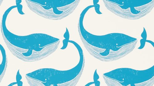 Whale Of A Time 111273